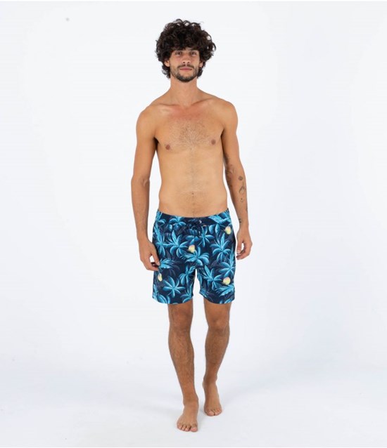 Hurley Boardshort 17" Cannoball Volley Obsidian | 06195IBGZ