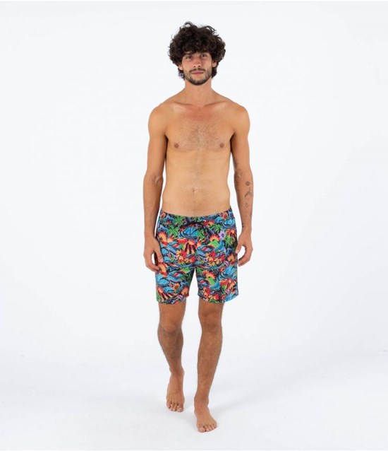 Hurley Boardshort 17" Cannoball Volley Svarta | 80231RIFG