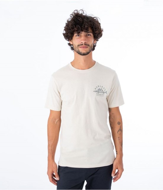 Hurley T-shirt Korta Sleeve Everyday Baracuda Bar Bone | 89246KEMA