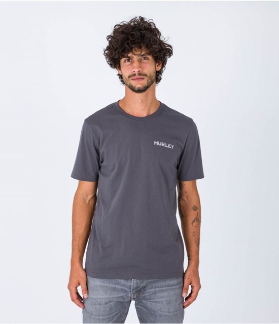 Hurley T-shirt Korta Sleeve Everyday Explore Reflector Grå | 97143KNFV