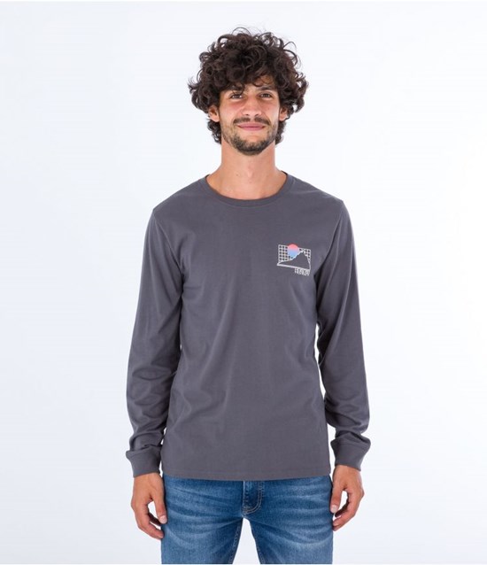 Hurley T-shirt Long Sleeve Everyday Explore The Great Outdoors Grå | 43507VEIJ