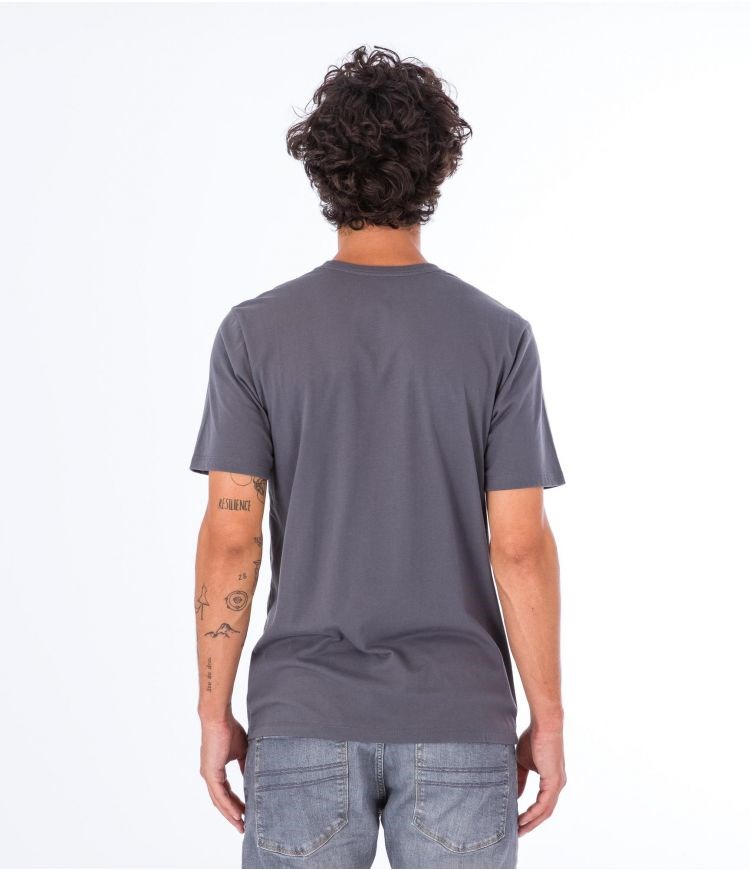 Hurley T-shirt Korta Sleeve Everyday Explore Reflector Grå | 97143KNFV