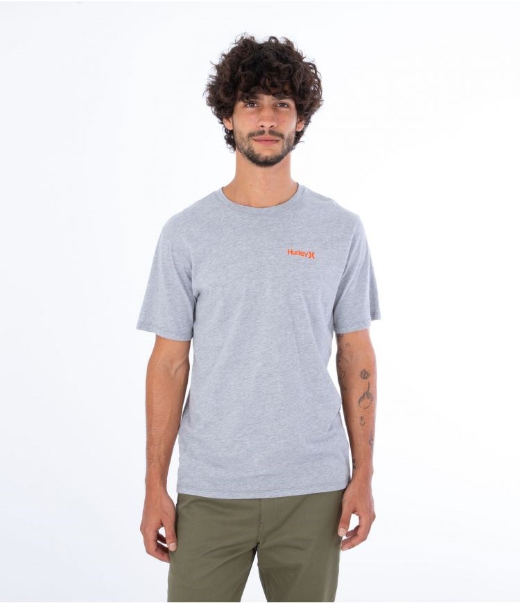 Hurley T-shirt Korta Sleeve Everyday O&o Sc Grå | 03841UZWJ