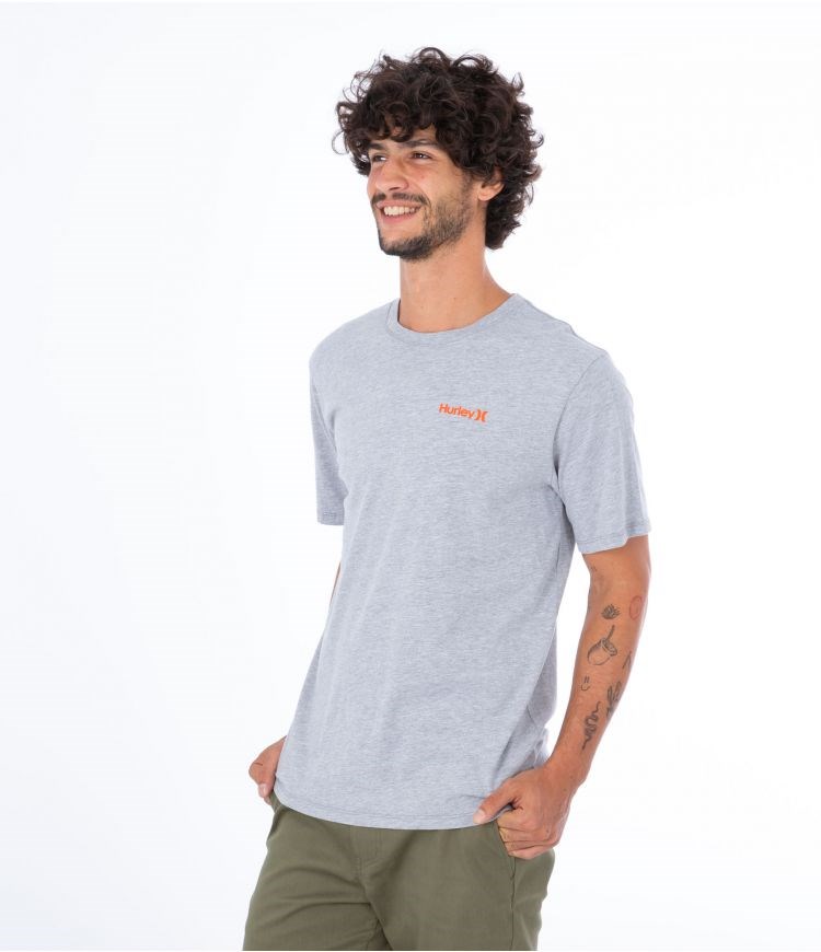 Hurley T-shirt Korta Sleeve Everyday O&o Sc Grå | 03841UZWJ