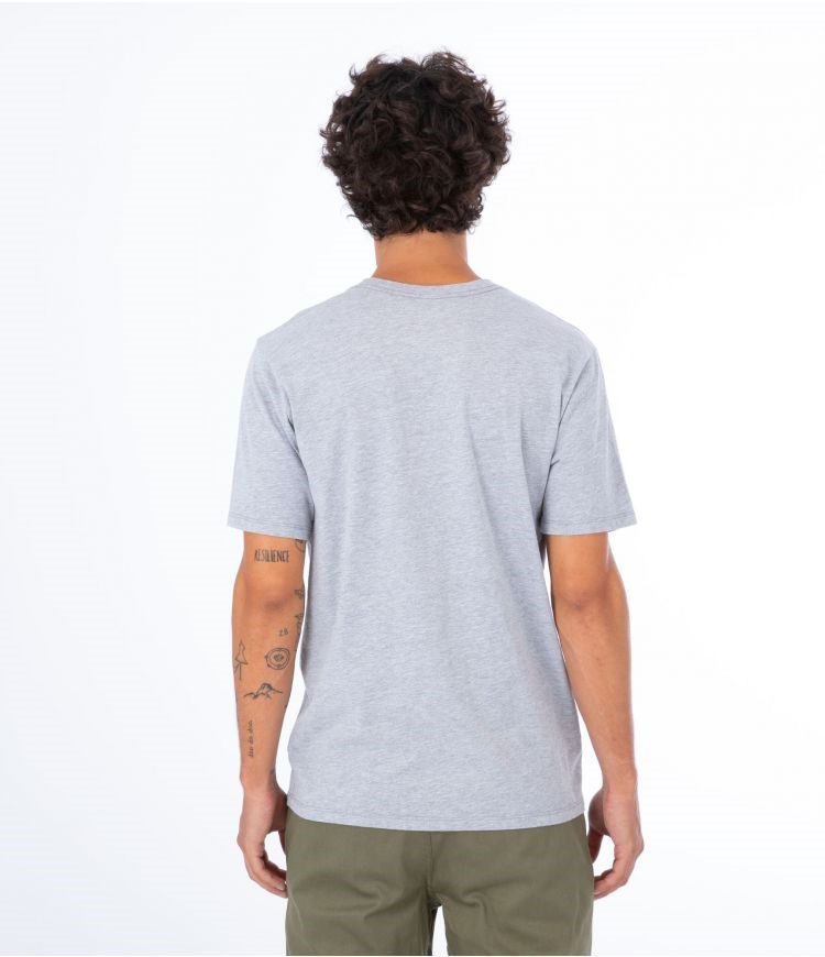 Hurley T-shirt Korta Sleeve Everyday O&o Sc Grå | 03841UZWJ