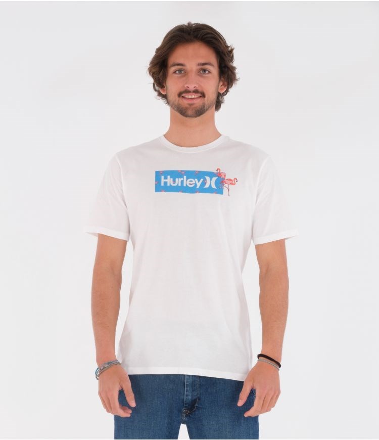 Hurley T-shirt Korta Sleeve Everyday Washed Disty Box Vita | 49382FTKJ