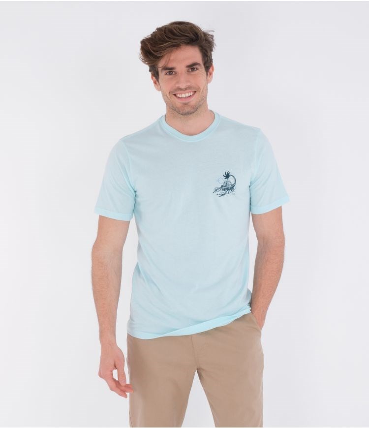 Hurley T-shirt Korta Sleeve Everyday Washed Poison + Palapas Teal Tinted Heather | 65032KOQD