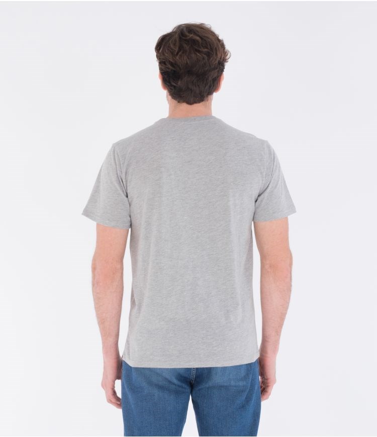 Hurley T-shirt Korta Sleeve Everyday Washed Core O&o Grå | 72590YPCH