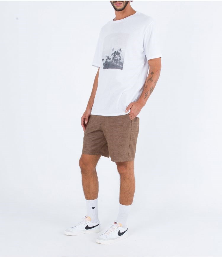 Hurley Walkshort 19